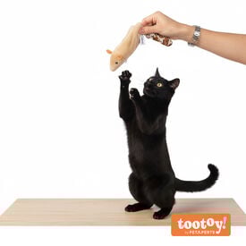 Tootoy! Juguete Interactivo Skinneeez para gatos